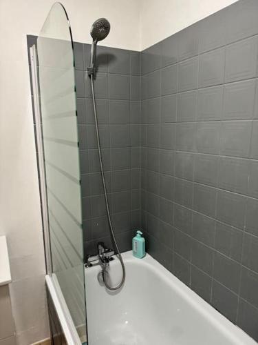 une salle de bain avec douche et baignoire dans l'établissement ღ Pertuis - Au cœur de Saintes, Spacieux & Cosy, à Saintes