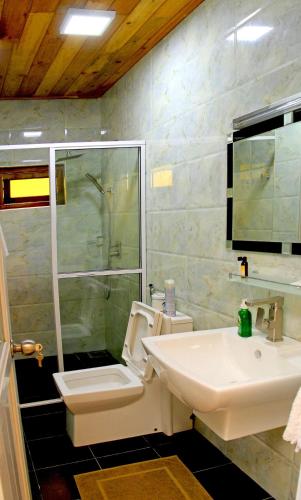 a bathroom with a sink and a shower at Bluewater Beach Resort in Trincomalee