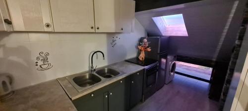 an overhead view of a kitchen with two sinks at Mansarda in Osijek