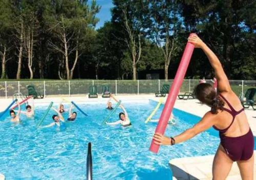 Tetamu yang menginap di Chalet 3 étoiles - Piscine - ccaffag