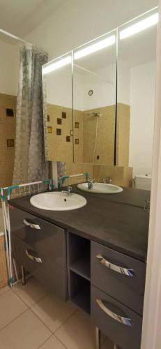 une salle de bain avec deux lavabos et un grand miroir dans l'établissement Le pur chic - Strasbourg centre, à Strasbourg