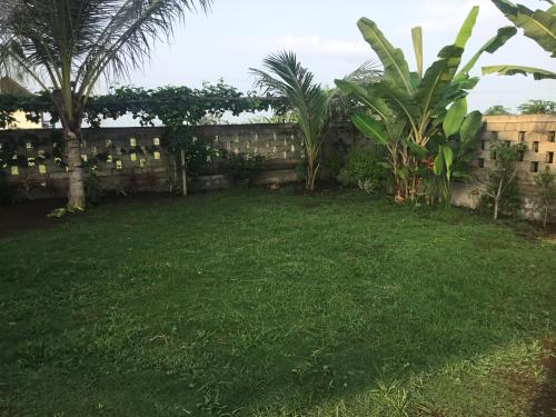 a yard with palm trees and a fence at Geyu House in Jembrana