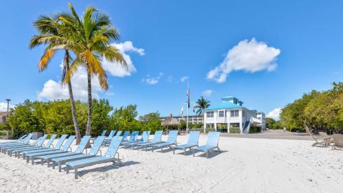 a row of chairs on a beach with palm trees at Reel Key Largo Escape Ocean Pointe 5209 in Key Largo