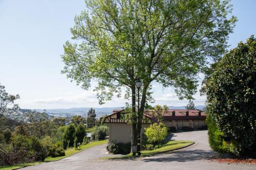 a tree in the middle of a driveway at Village Family Motor Inn in Launceston