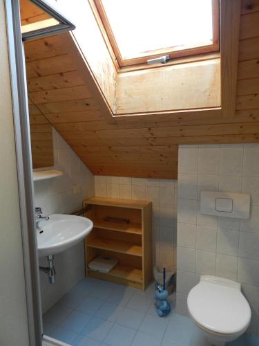 a bathroom with a sink and a toilet with a skylight at Haus Franz by ISA AGENTUR in Bad Kleinkirchheim