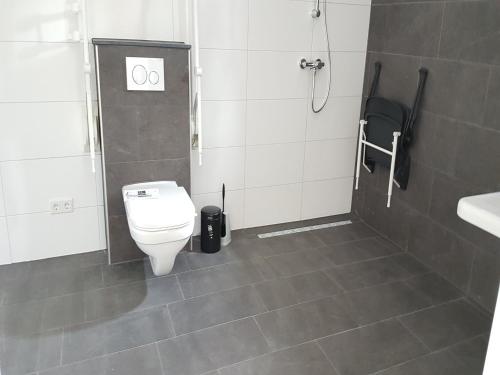 a bathroom with a toilet and a sink at Modern Villa with Garden in Almen
