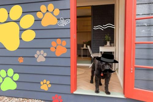 a dog wearing a hat standing outside of a house at Cosy & Pet-friendly Blackheath Studio 3 in Blackheath