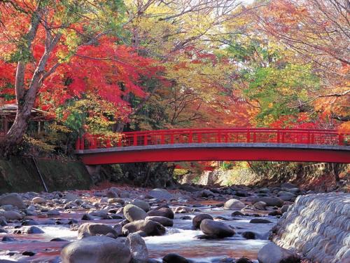 a red bridge over a river with rocks at Shuzenji Onsen Hotel Takitei in Izu