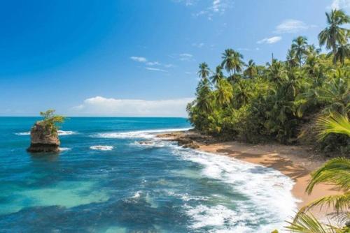 a beach with palm trees and the ocean at Jawy's House, Puerto Viejo, Limón in Puerto Limón