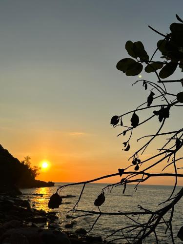 a sunset on the beach with birds in the foreground at Lazy Bones in Koh Rong Sanloem