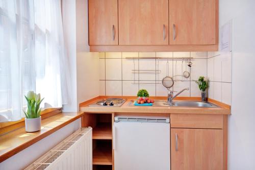 a small kitchen with a sink and a counter at Apartment Landhotel Zum Storchennest in Bann