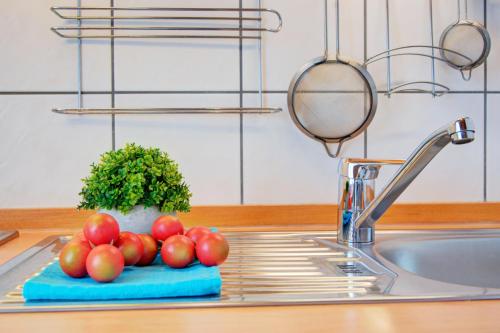 a bunch of apples sitting on a blue sponge next to a sink at Apartment Landhotel Zum Storchennest in Bann