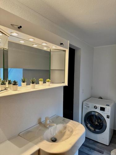 a bathroom with a sink and a washing machine at PrimeBnb Bad Salzungen in Bad Salzungen