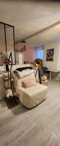 Appartement Hyper centre historique Toulouse capitole cosy