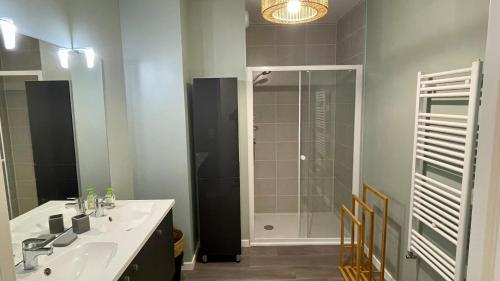une salle de bain avec un lavabo et une douche dans l'établissement Au Bord'eaux de Malou, à Bordeaux