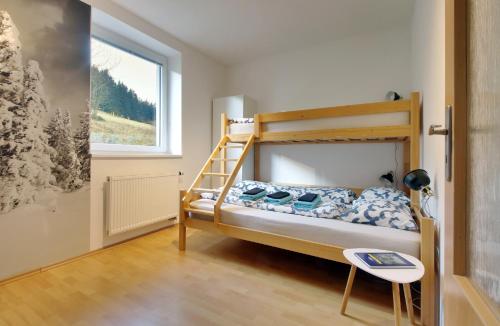 a bedroom with a bunk bed and a ladder at Apartment Michaela in Pec pod Sněžkou