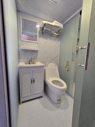 GyulagarakにあるTevani Glampingのトイレと洗面台のある小さなバスルーム