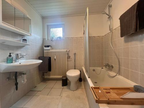 a bathroom with a sink and a toilet and a shower at Ferienwohnung Mendig in Mendig