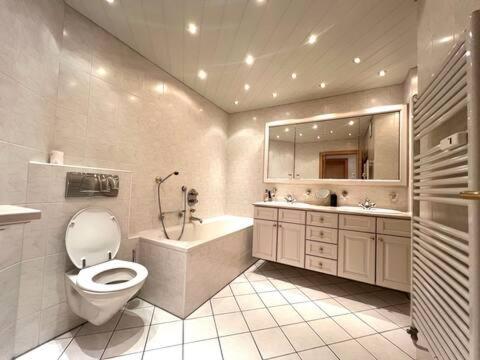 a bathroom with a toilet and a tub and a sink at LOFTI'S Alpin View Suite in Oberreute