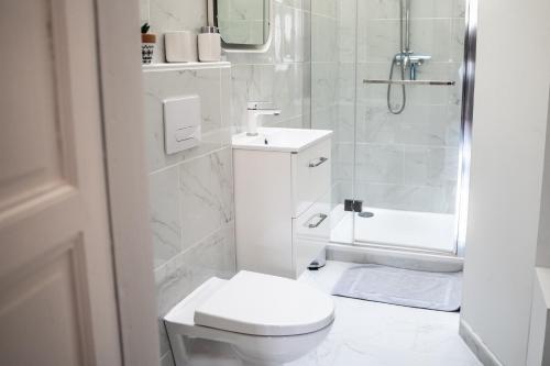 a white bathroom with a toilet and a shower at CHIC ANDREOSSY-COSY-AUTHENTIQUE-WI-Fi-Vélo in Castelnaudary