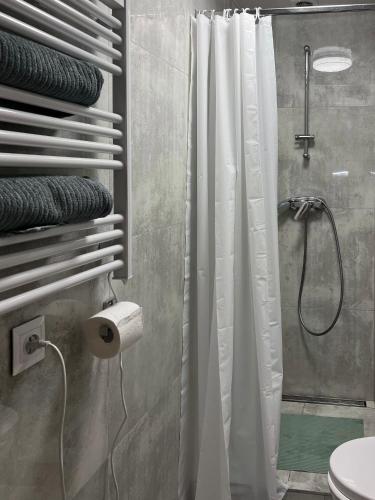 a bathroom with a shower curtain and a toilet at Vista apartment 4 in Choszczówka