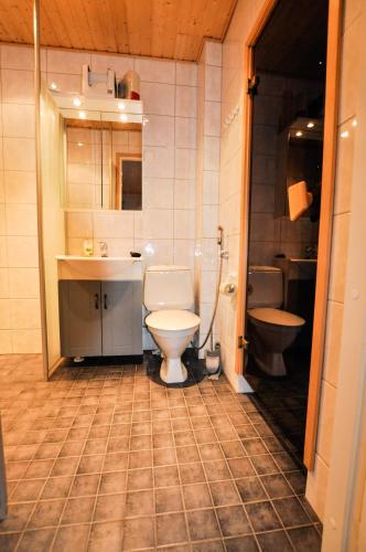 a bathroom with a toilet and a sink at Holiday Resort Harjun Portti in Punkaharju