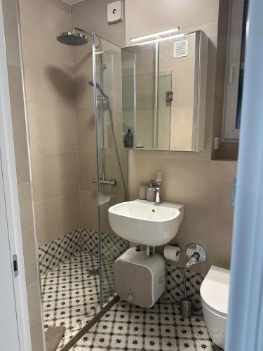 a bathroom with a sink and a shower at Sofo house in Sofia