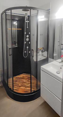 La salle de bains est pourvue d'une douche. dans l'établissement L IDEAL!, Cosynestdunkerque, à Dunkerque