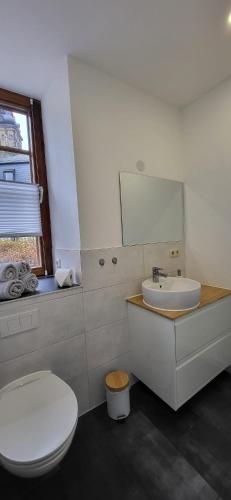 a bathroom with a toilet and a sink and a mirror at Ferienwohnung Frauenmarkt in Schneeberg