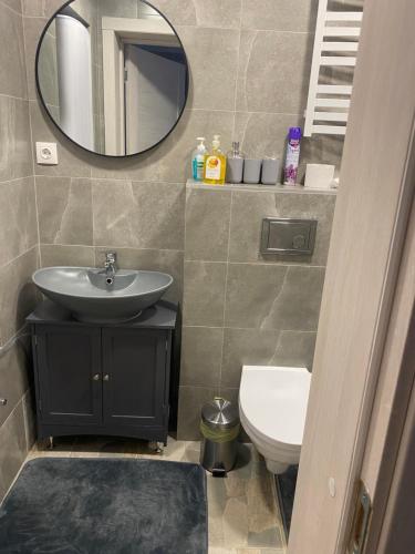 a bathroom with a sink and a mirror and a toilet at Centro apartments Rokiškis in Rokiškis