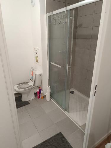 une salle de bain avec toilettes et douche en verre dans l'établissement Bel appartement disponible, à Conflans-Sainte-Honorine