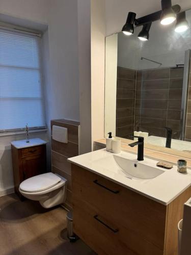 une salle de bain avec un lavabo, des toilettes et un miroir dans l'établissement Suite Schwendi - L'Authentique - en Hypercentre, à Colmar