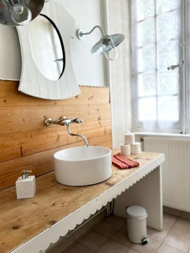 une salle de bain avec un lavabo et un miroir sur un comptoir dans l'établissement La maison de l'Allier, à Les Laurins