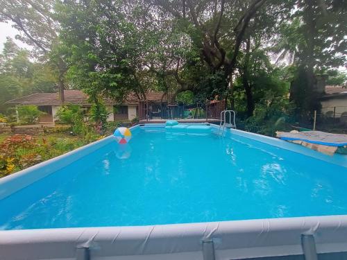 a swimming pool with a umbrella and a ball in it at Banyan House - luxurious 4 bedroom villa on one acre, near the beach in Nagaon