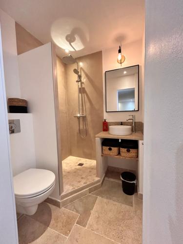 une salle de bain avec toilettes et lavabo dans l'établissement Duplex centre historique Arles, à Arles