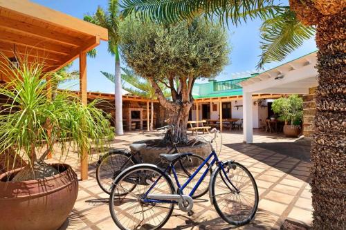 Lanzarote Villa The Olive - Pool Heated