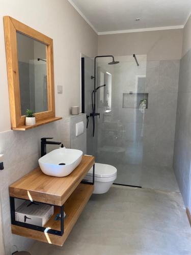 a bathroom with a sink and a shower and a toilet at Villa Castelina in Vicani