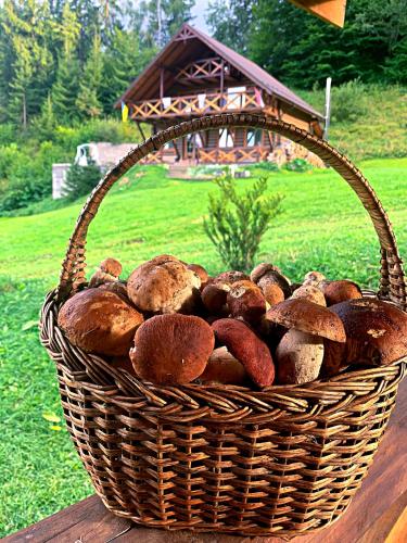 a basket of mushrooms sitting on a wooden table at Терношорська Лада in Snidavka