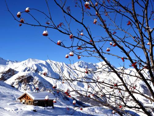 a house in the snow with a tree at Résidence Azureva Les Menuires in Les Menuires