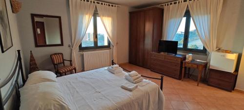 a bedroom with a bed and a tv and windows at La Tana in Flumeri