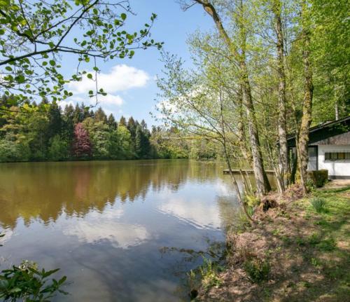 a view of a lake with a house and trees at La Douceur de l'Oise in Momignies