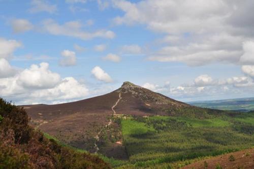 a mountain with a green hill in the distance at Bright House with Garden & Patio in Market Town in Inverurie