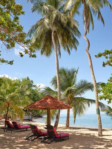 a group of chairs and palm trees on a beach at East Winds St. Lucia- All Inclusive in Gros Islet