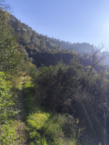 a trail on the side of a hill with trees at Maya : casa rustica con vista panoramica in Narni