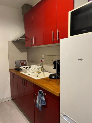 Charmant studio en centre-ville de Mulhouse - Equipé