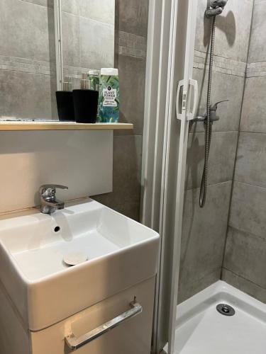 une salle de bain avec un lavabo et une douche dans l'établissement Charmant studio en centre-ville de Mulhouse - Equipé, à Mulhouse