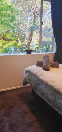 Gallery image of New Birdsong Abode Central Guest House in Lower Hutt