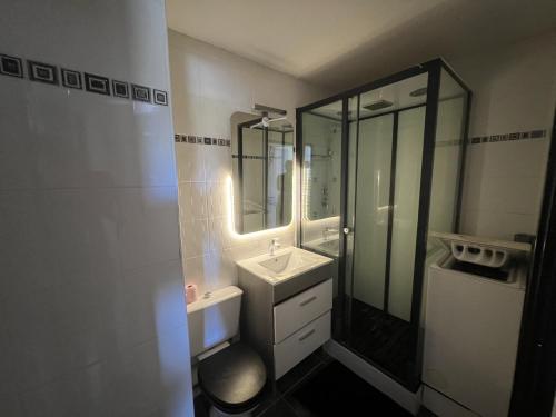une salle de bain avec un lavabo et un miroir dans l'établissement T2 cap d'agde, au Cap d'Agde