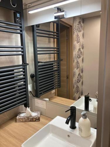 une salle de bain avec un lavabo et un miroir dans l'établissement La loge des mouettes, à Le Touquet-Paris-Plage