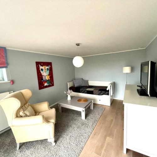 a living room with a couch a chair and a tv at Kleine Auszeit auf Halbinsel Holnis in Holnis
